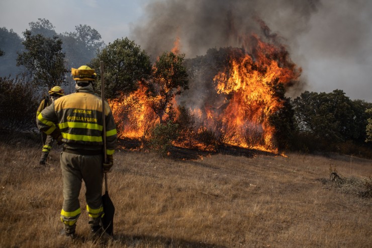 Imagen del incendio de Losacio, en Zamora. / Europa Press