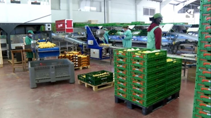 Imagen de archivo de una empresa agroalimentaria aragonesa.