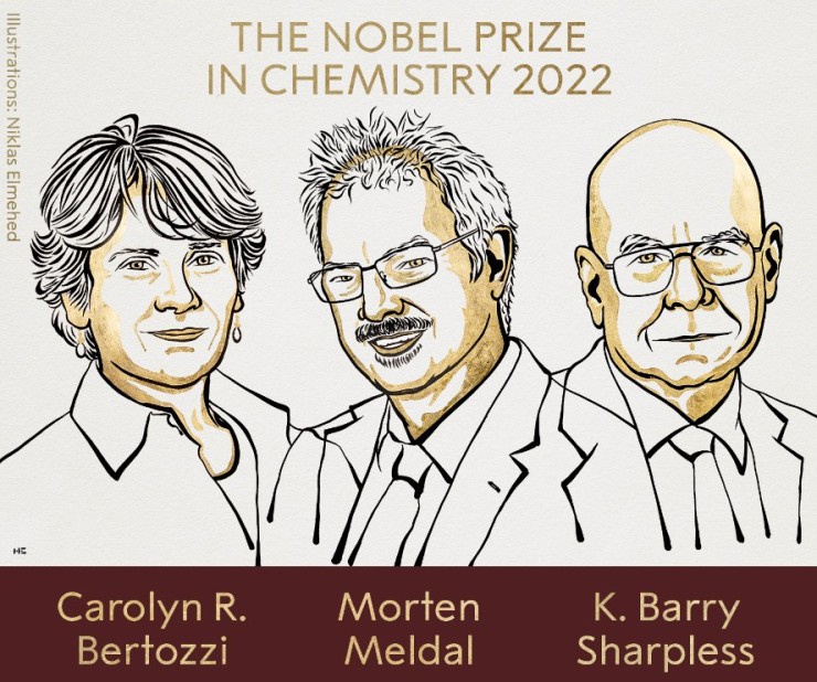 Ilustración con los retratos de los ganadores del Nobel de Química. / Niklas Elmehed