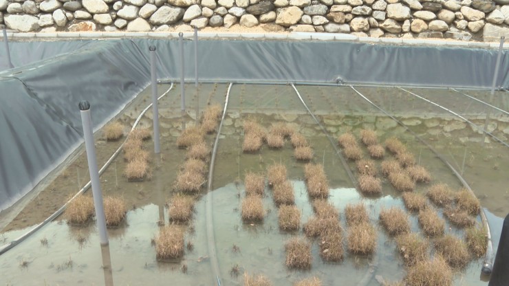 Sahún (Huesca) cuenta con humedales artificiales para depurar sus aguas residuales.