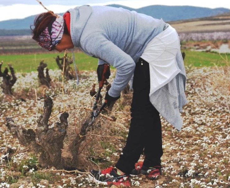 Imagen de una joven agricultora. / Gobierno de Aragón