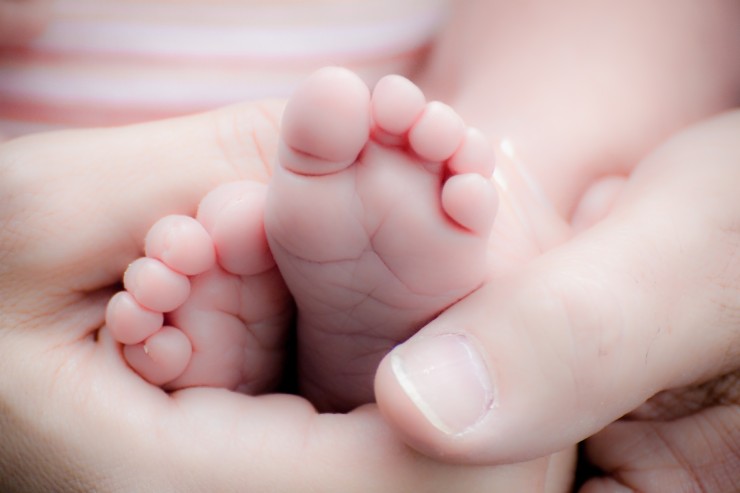 Pies de recién nacido. / Pixabay.