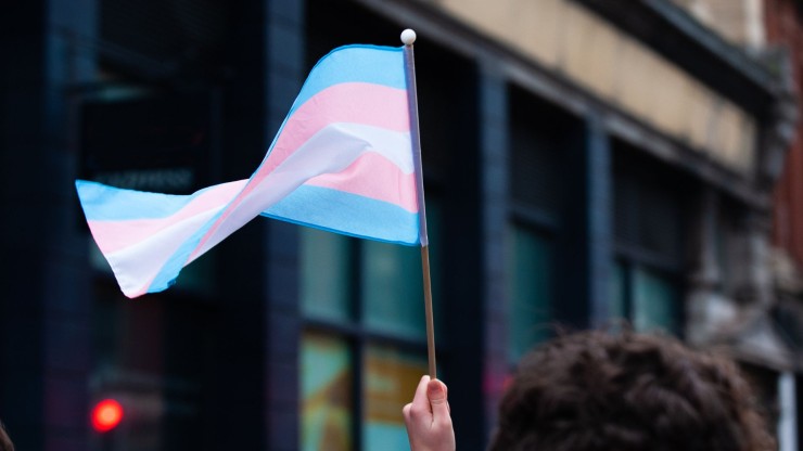 Bandera que aglutina al colectivo trans. / Canva