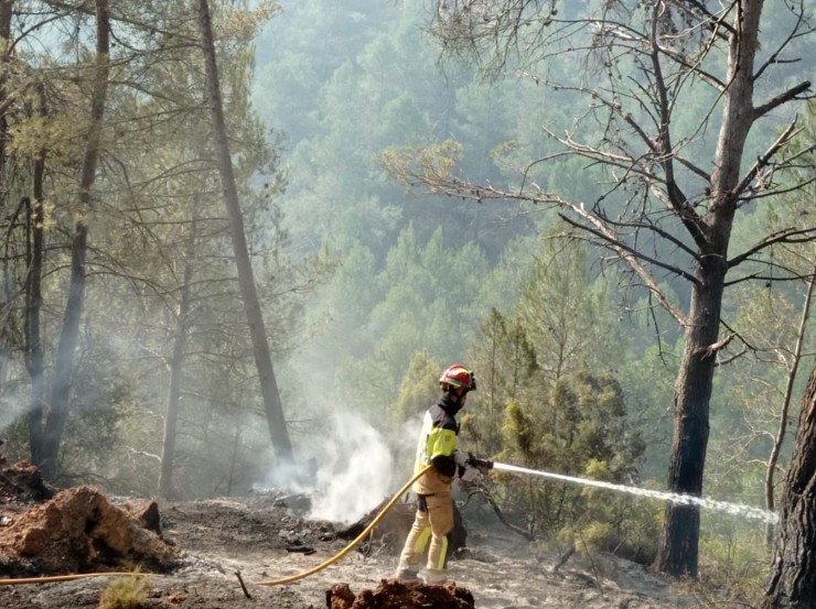 Efectivos de Aragón y Valencia trabajan para lograr extinguir el incendio. / Bomberos DPT