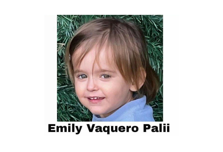 La niña Emily Vaquero Palii, desaparecida el pasado viernes en Zaragoza. / SOS Desaparecidos
