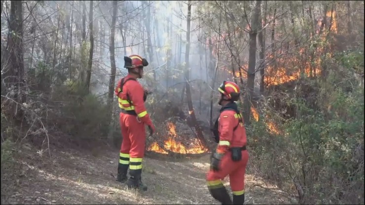 El incendio ha afectado ya a más de 8.500 hectáreas.
