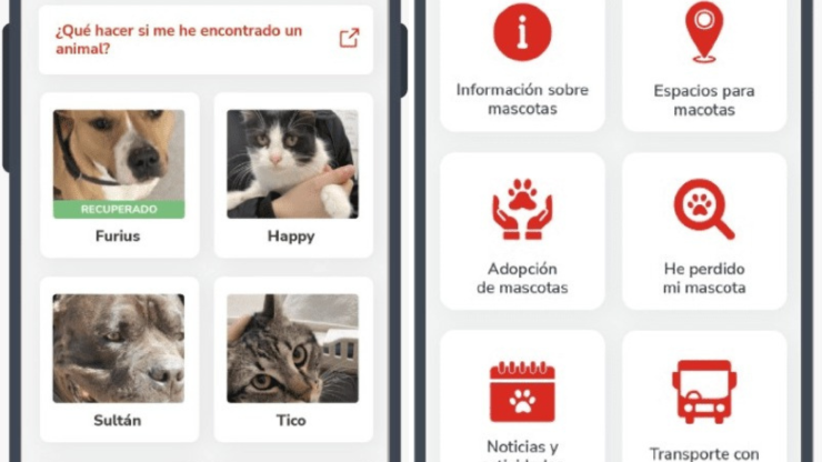 La aplicación móvil 'Conecta Zaragoza' incluye un módulo con las mascotas que se pueden adoptar en Zaragoza. / Ayuntamiento de Zaragoza