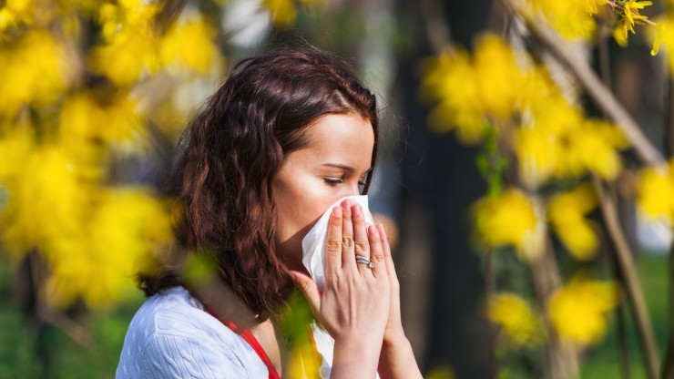 Aumenta el porcentaje de población que sufre algún tipo de alergia. / Canva.