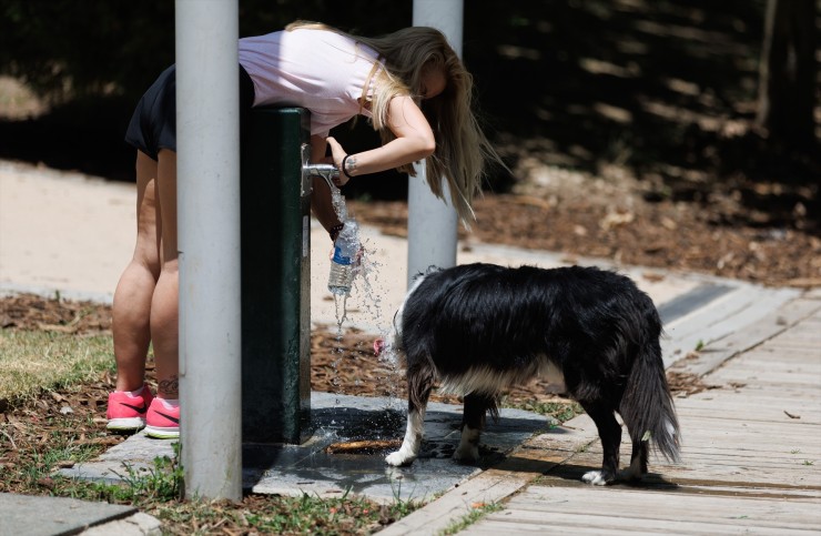 Una mujer y un perro cogen agua en una fuente. / Europa Press.