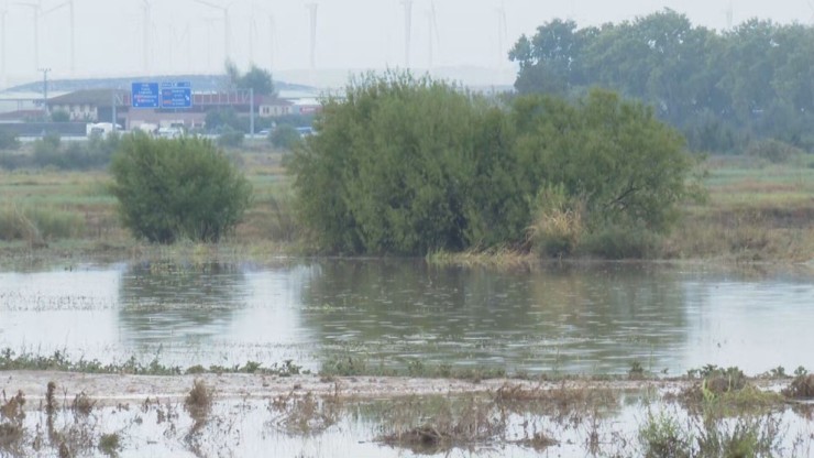 Las lluvias de la DANA de principios de septiembre anegaron caminos, viales y campos en Pedrola.