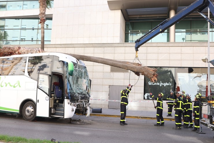 Autobús accidentado en la entrada de Cádiz que ha provocado tres fallecidos. / Europa Press.