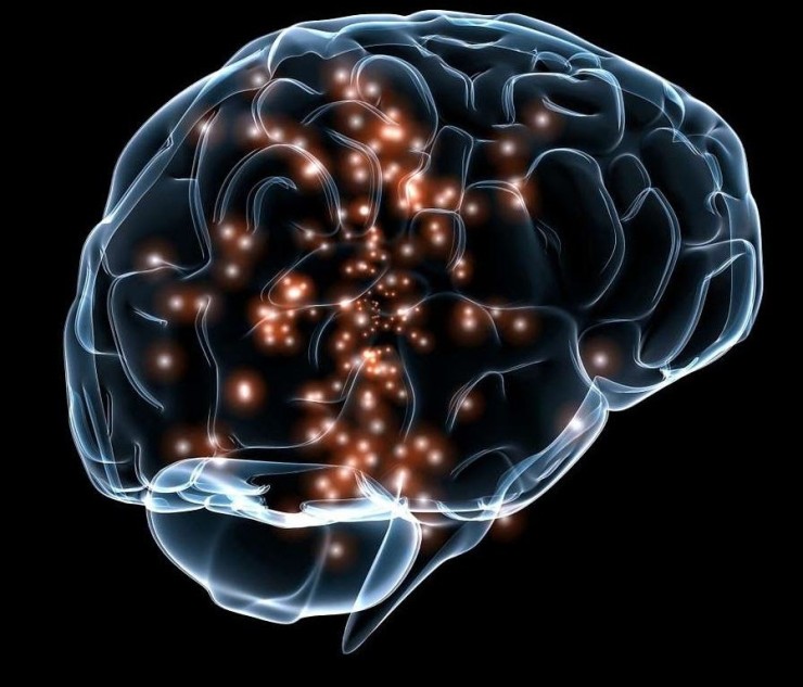 Imagen del cerebro humano.