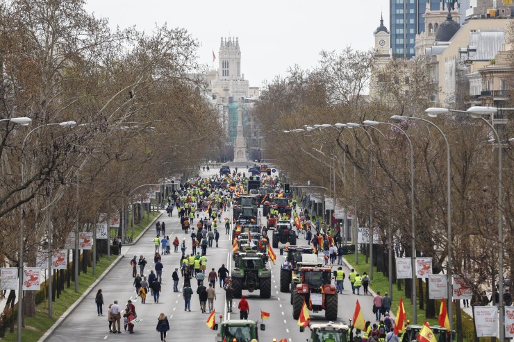Agricultores y ganaderos participan en una tractorada de protesta en Madrid este domingo. / EFE