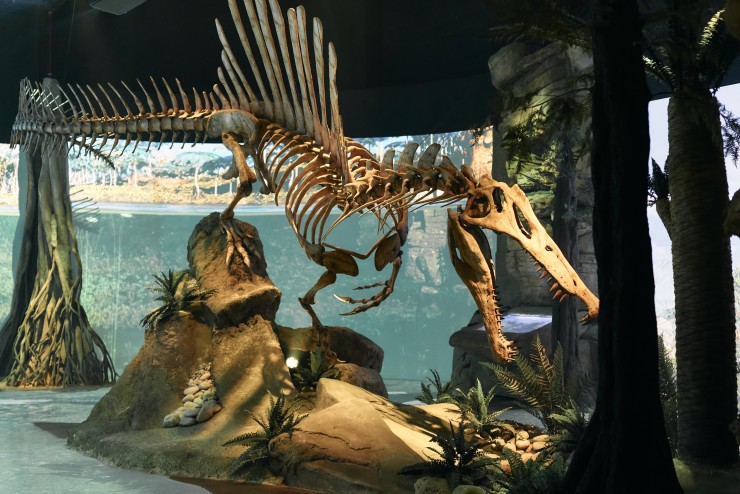 Maqueta de Spinosaurus en Dinópolis. / Europa Press