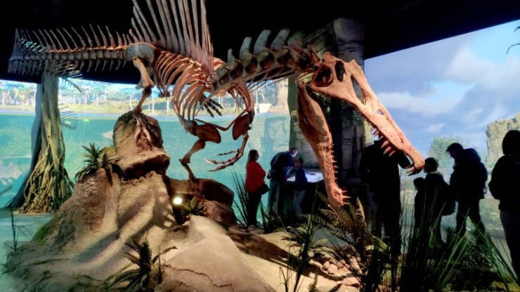 Maqueta de un Spinosaurus en el recorrido temático de Mar Jurásico. / Dinópolis