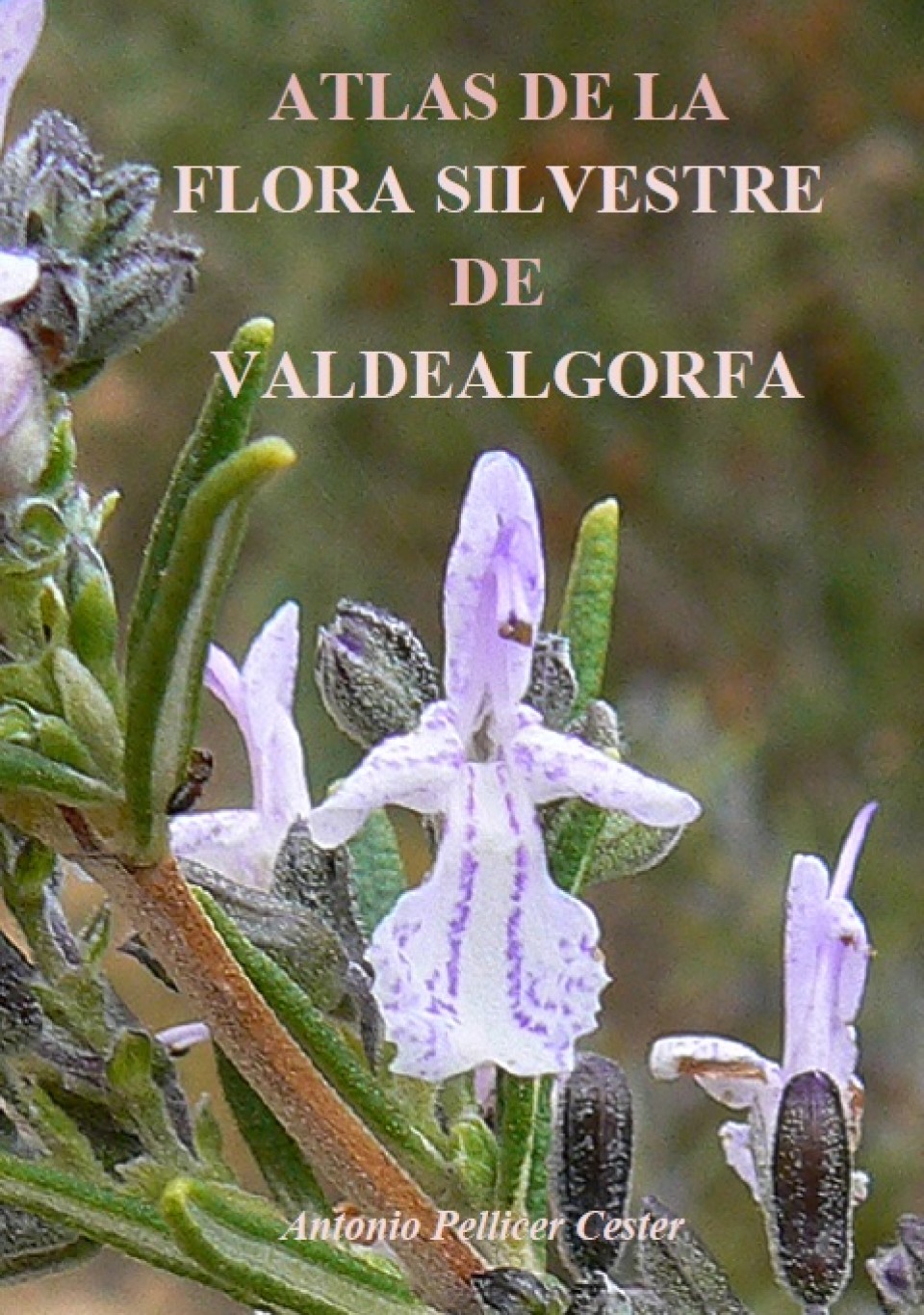 Imagen portada-atlas-flora.jpg