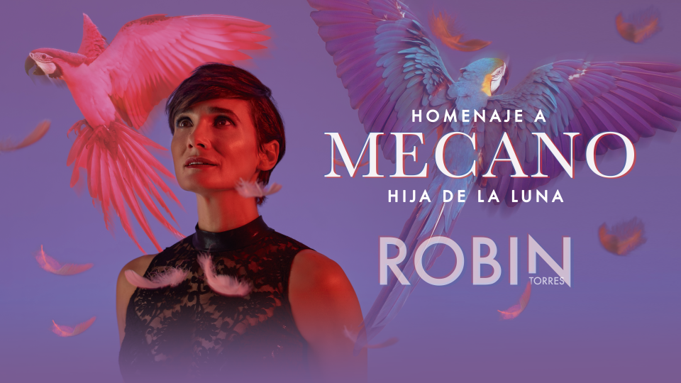Imagen Homenaje a Mecano - Robin Torres