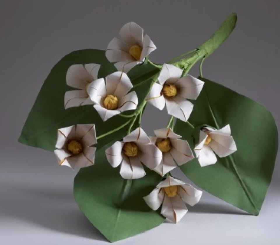 Imagen origami-6.jpg