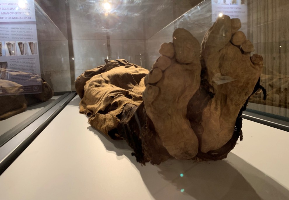 Museo las Momias de Quinto, visita | Noticias | Aragón (CARTV)