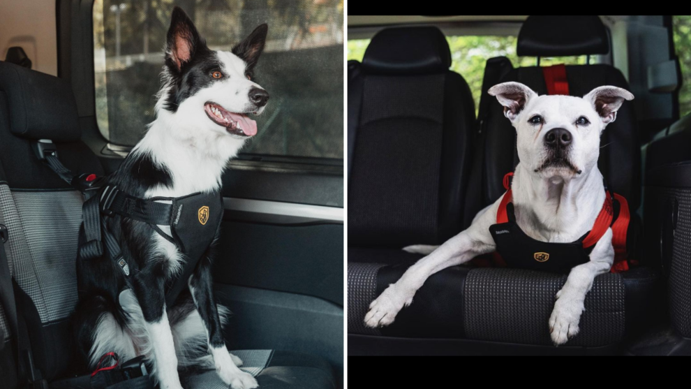 Rejillas de coche para viajar con su perro ·